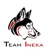 teamineka Logo