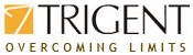 Trigent Software Inc. Logo