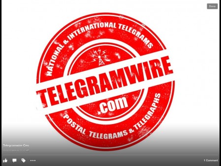 telegramwire Logo