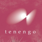 Tenengo Design Logo