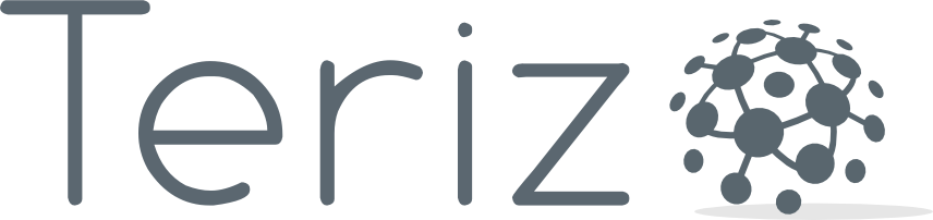 terizo Logo