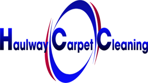 thecarpetcleaner Logo