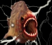 thefeistypiranhas Logo