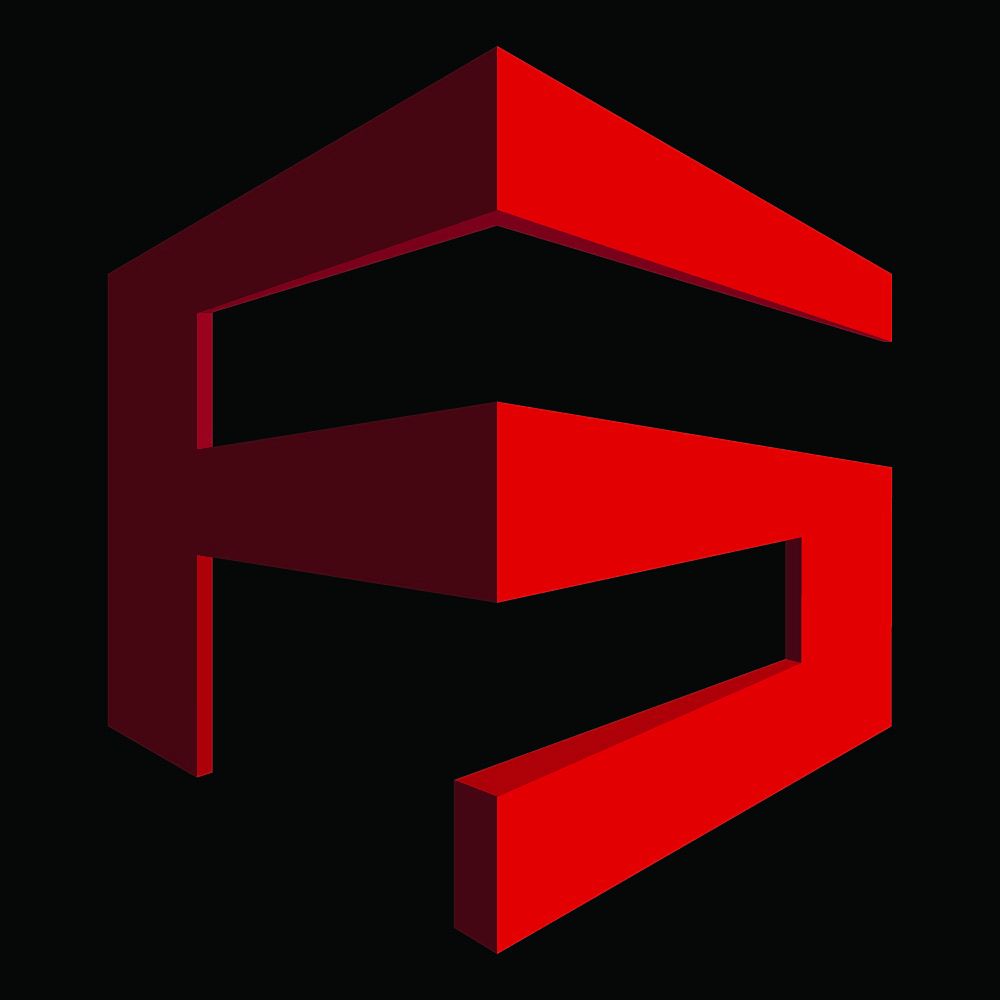 theflyingsourcers Logo