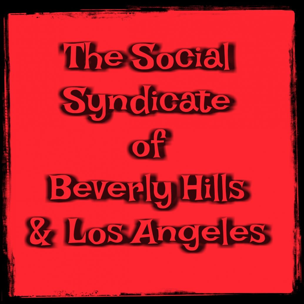 thesocialsyndicate Logo