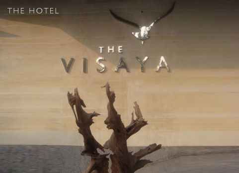 thevisaya Logo