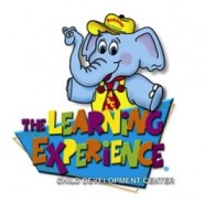 The Learning Experience Logo