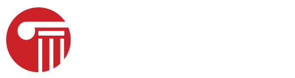 TOP Consulting Logo