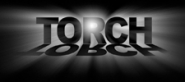 Torch Marketing Logo