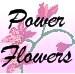 toronto_florist Logo