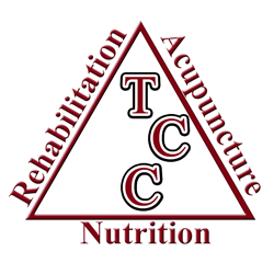 Total Chiropractic & Wellness Center Logo