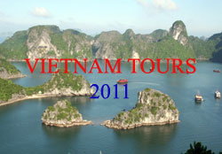 traveltovietnam Logo
