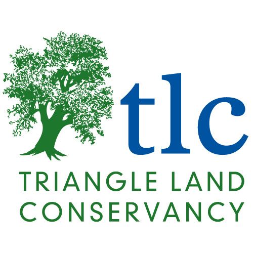 triangleland Logo