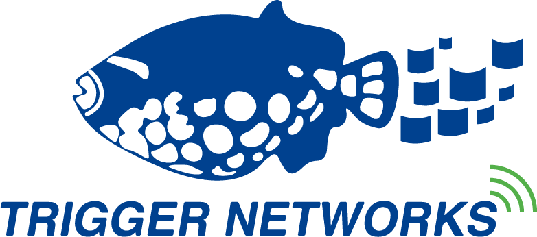 trigger_networks Logo