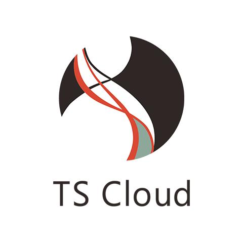 TS Cloud Logo