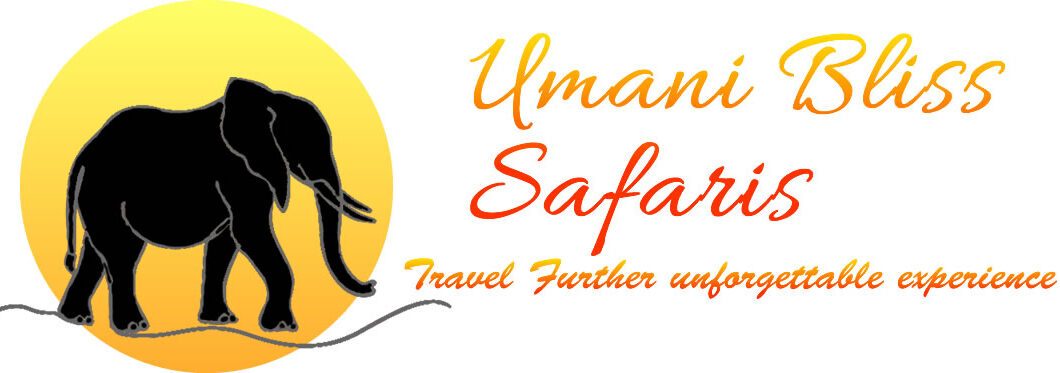 Umani Bliss Safaris Logo