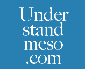 Understandmeso.com Logo