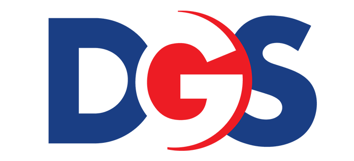 Dynamite Global Strategies, Inc Logo