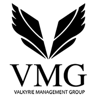 Valkyrie Management Group Logo