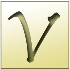 vanishdfw Logo