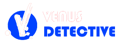 venusdetective Logo