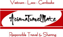 Asiana Travel Mate Logo