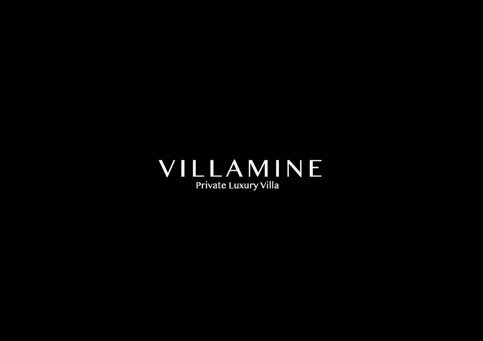 Villamine Logo