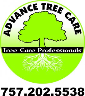 Virginia Beach Tree Care Logo