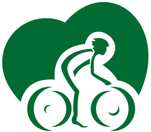 virtualrides Logo