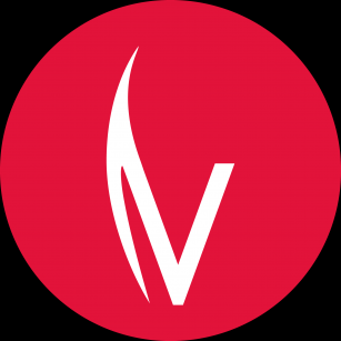 visibilitycom Logo
