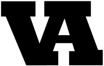 vitalassets Logo