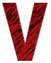 vizipress Logo