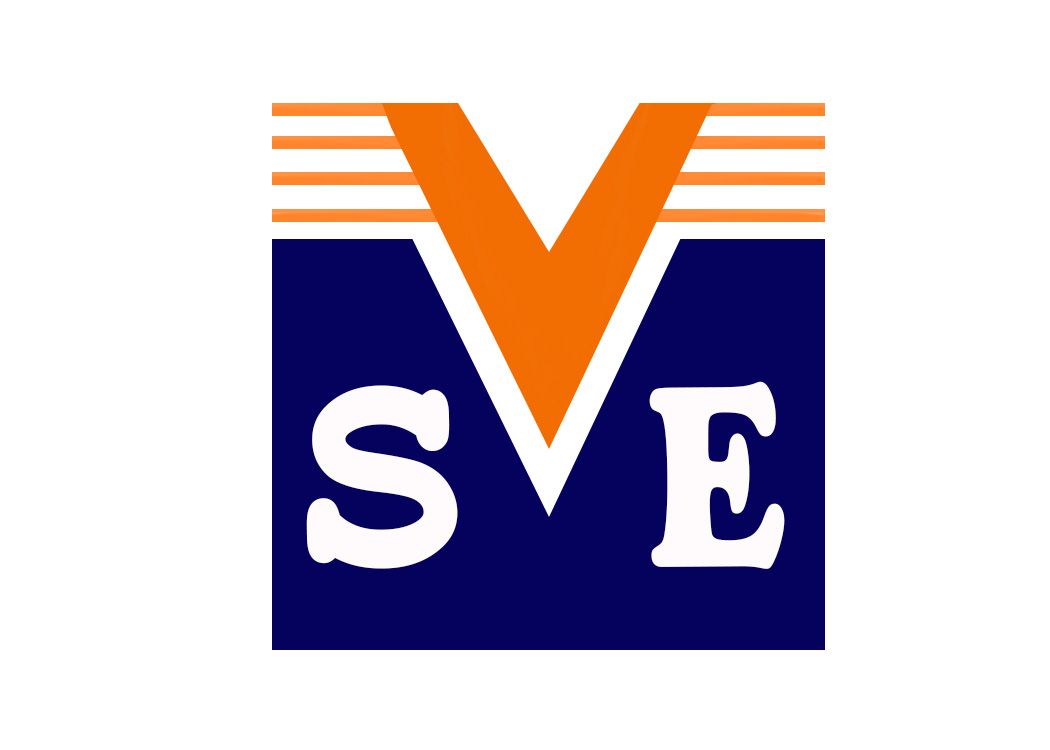 vmsgroup Logo
