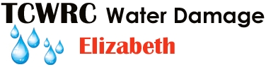 Water Damage Elizabeth Logo