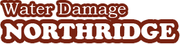 waterdamagenorthridg Logo