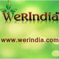 werindia Logo