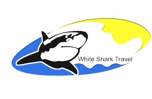 whitesharkegypt Logo
