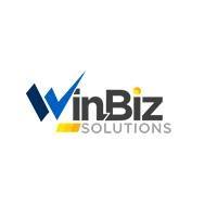 winbizsolutions Logo