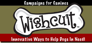 Wishcuit Logo