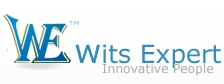 witsindia Logo