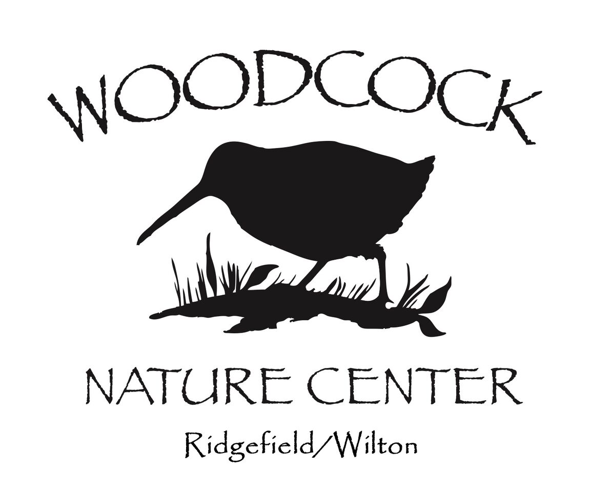 woodcocknaturecenter Logo