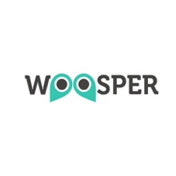 woosperinfotech Logo
