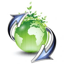 World Initiative Logo