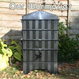 wormerystore Logo