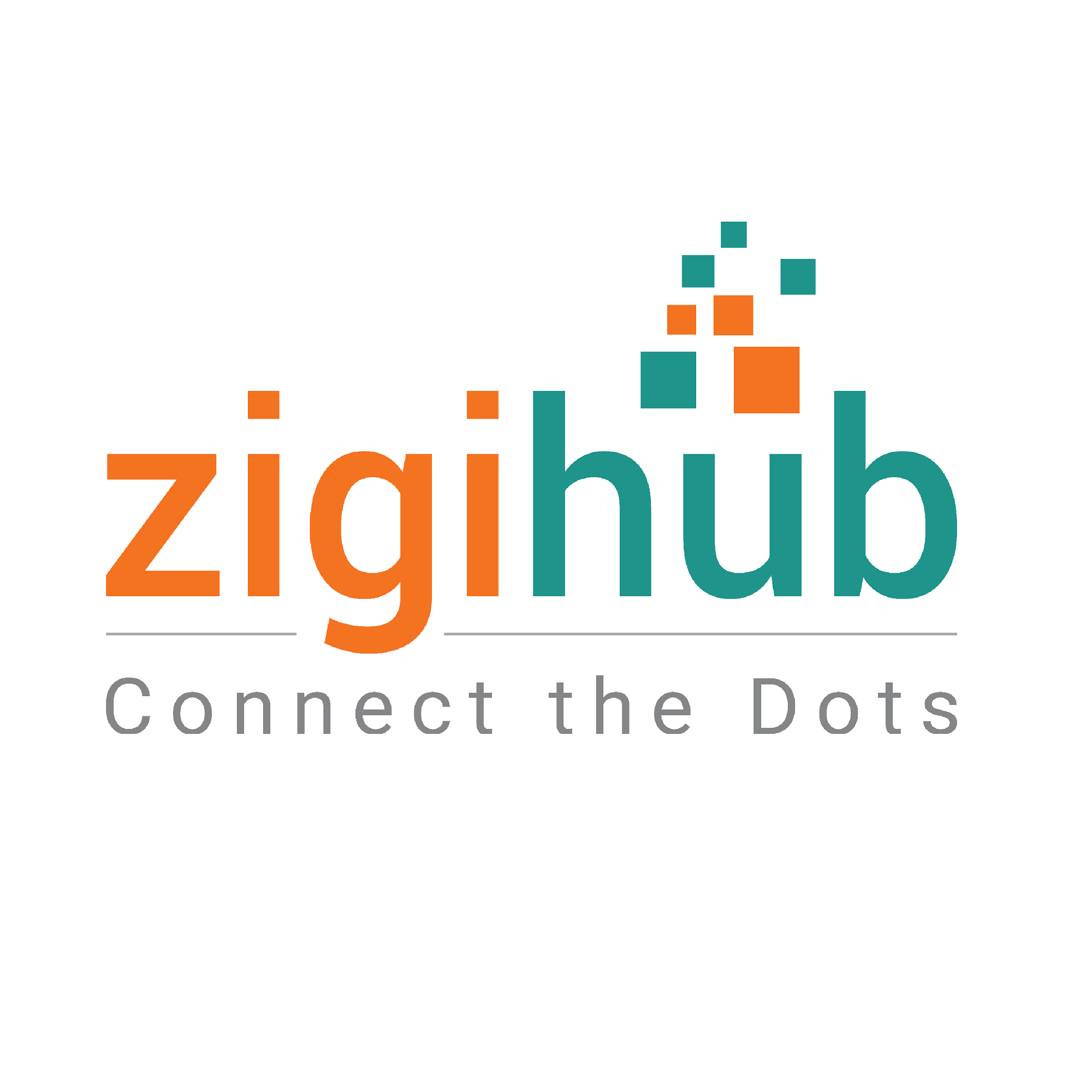 zigihub Logo