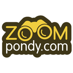 Zoompondy Logo